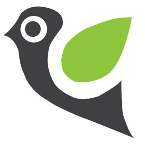 公开信息按发布时间滚动